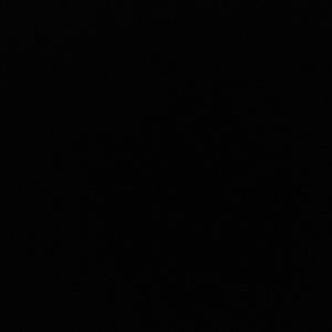 Meet your Posher, Evelyn